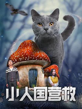 91免费高清无砖码区
