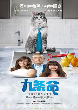 手机免费av