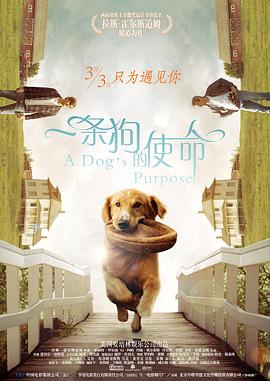 午夜精品久久