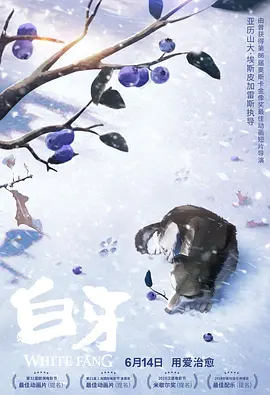 成人看片黄a毛片