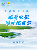 美女黄频视频大全免费的