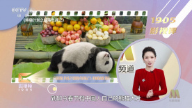 日韩在线观看网址